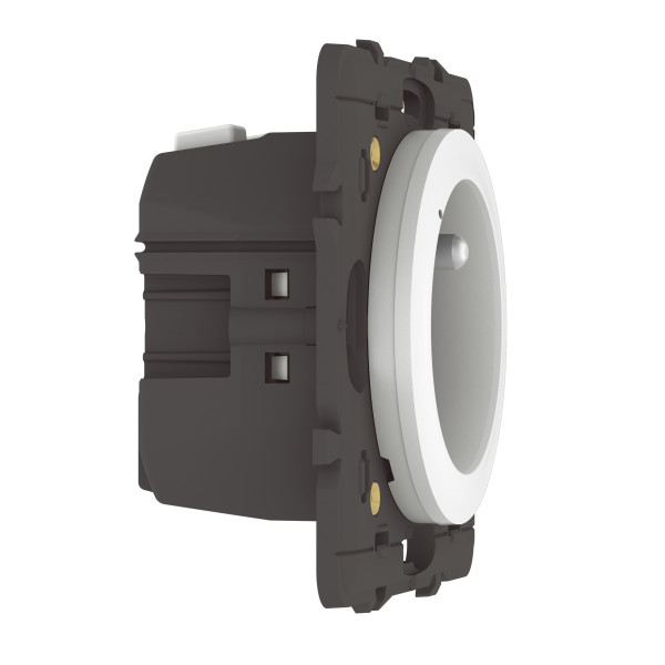 Prise de courant connectée Céliane With Netatmo 16A avec mesure de consommation, compatible Home + Control