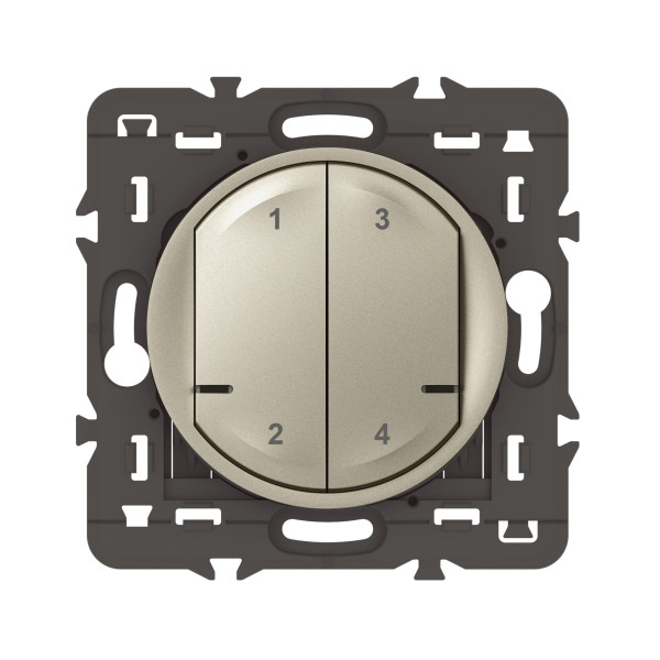 Commande sans fil 4 scénarios Céliane With Netatmo, titane, sans plaque
