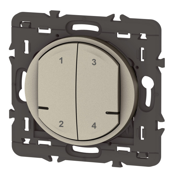 Commande sans fil 4 scénarios Céliane With Netatmo, titane, sans plaque