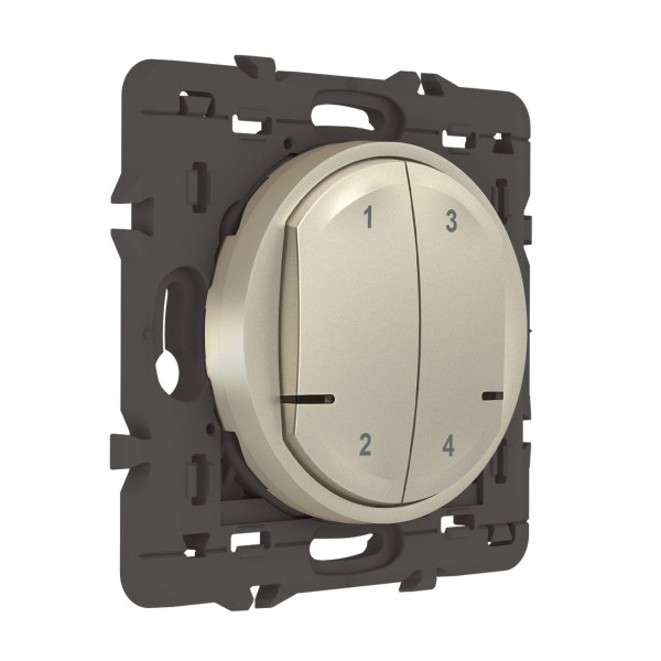 Commande sans fil 4 scénarios Céliane With Netatmo, titane, sans plaque