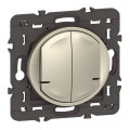 Commande Double Sans Fil Céliane With Netatmo Éclairage/Prise Titane