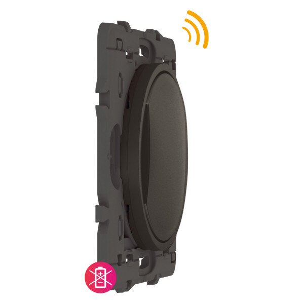 Commande sans fil Self-e Céliane graphite pour éclairage et prises - Netatmo