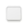 Poussoir Lumineux 10 A Blanc Plexo Legrand – avec Voyant Lumineux – Etanche - IP55 - IK08 – avec Enjoliveur – Contact NO et NF