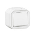 Poussoir NO lumineux avec voyant étanche Plexo 10A IP55 IK08 livré complet pour fixation saillie - blanc