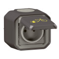 Prise de Courant Plexo Legrand 2P+T Anthracite – Etanche – pour Recharge de Vélos et 2 Roues Electriques – 16 A 230 V – Complète – Fixation Saillie
