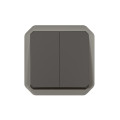 Commande double interrupteur ou poussoir plexo composable anthracite