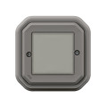 Commande Self-e étanche Plexo IP55 pour éclairage et prise - Gris With Netatmo