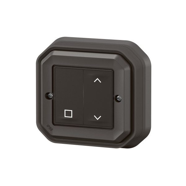 Commande Self-e Plexo étanche IP55 pour volets roulants, anthracite Netatmo