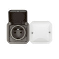 Prise Connectée Plexo IP55 2 Postes Anthracite avec Suivi Conso Netatmo