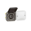 Prise Connectée Plexo IP55 2 Postes Anthracite avec Suivi Conso Netatmo
