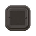 Commande Self-e étanche Plexo IP55 pour éclairage et prise complète anthracite Netatmo