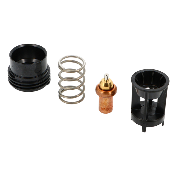 Cartouche thermostatique pour tc 72 erp 