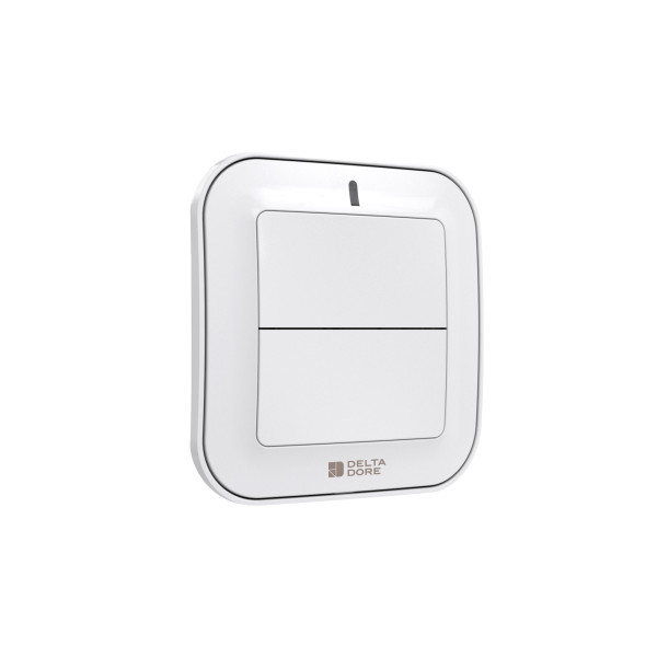 Interrupteur radio Delta Dore Tyxia 2310 murale pour éclairages ou automatismes