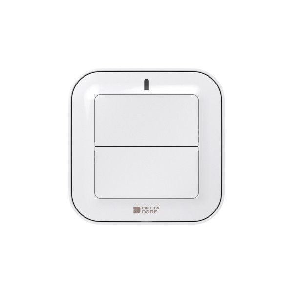 Interrupteur radio Delta Dore Tyxia 2310 murale pour éclairages ou automatismes