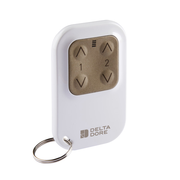 Télécommande Porte-Clé Delta Dore Tyxia 1400