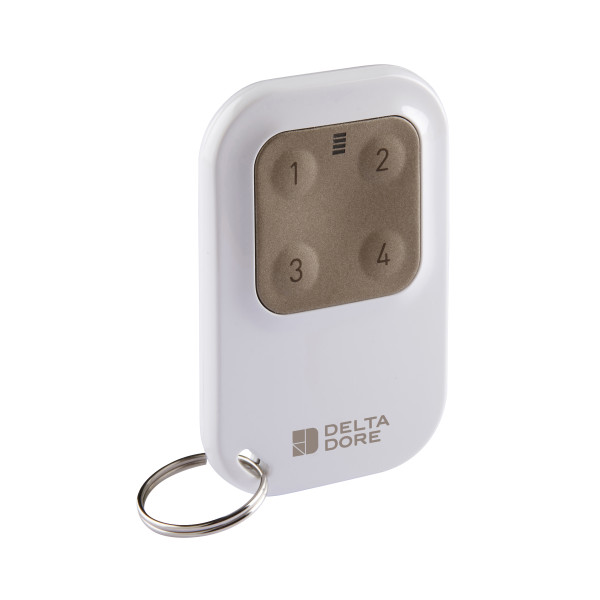 Télécommande Porte-Clé Delta Dore Tyxia 1410