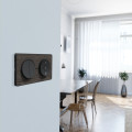Va-et-vient double anthracite Schneider Odace connexion rapide fixation à vis