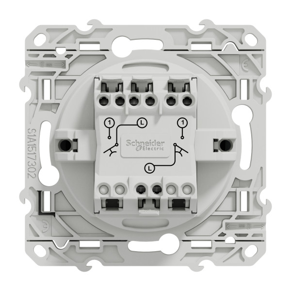 Poussoir double anthracite Schneider Odace fixation à vis connexion rapide