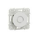 Ronfleur blanc Schneider Odace 76 à 80dB 230V fixation à vis