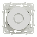 Ronfleur blanc Schneider Odace 76 à 80dB 230V fixation à vis