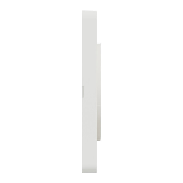 Plaque bois nordique Schneider Odace 1 poste