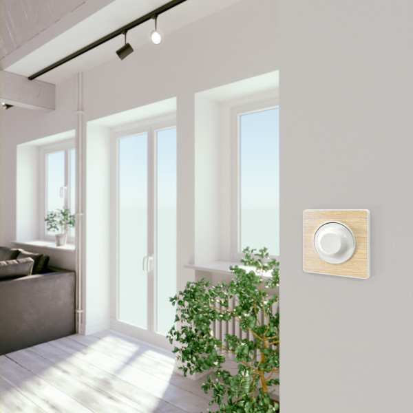 Plaque bois nordique Schneider Odace 1 poste