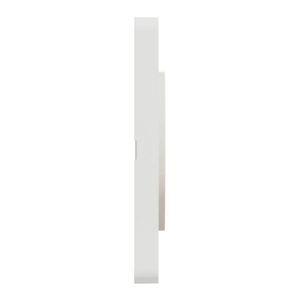 Plaque bois naturelle avec liseré blanc Schneider Odace Touch 1 poste