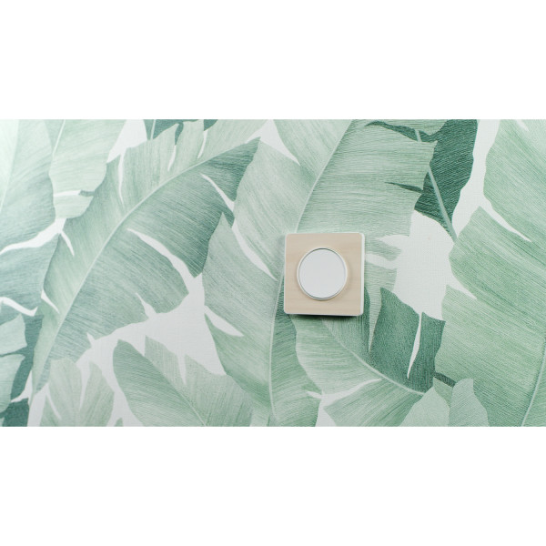 Plaque bois naturelle avec liseré blanc Schneider Odace Touch 1 poste