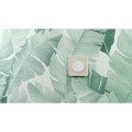 Plaque bois naturelle avec liseré blanc Schneider Odace Touch 1 poste