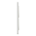 Plaque bois nordique avec liseré blanc Schneider Odace Touch 2 postes verticale 57mm