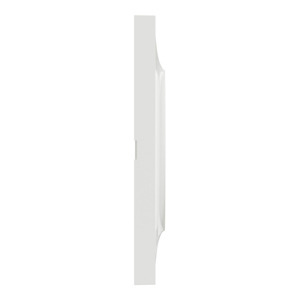 Plaques blanches Schneider Odace Styl 1 poste lot de 100