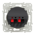 Odace, Prise Haut-parleurs Anthracite, 2 Sorties