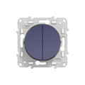 Odace, double poussoir cobalt, à vis, connexion rapide