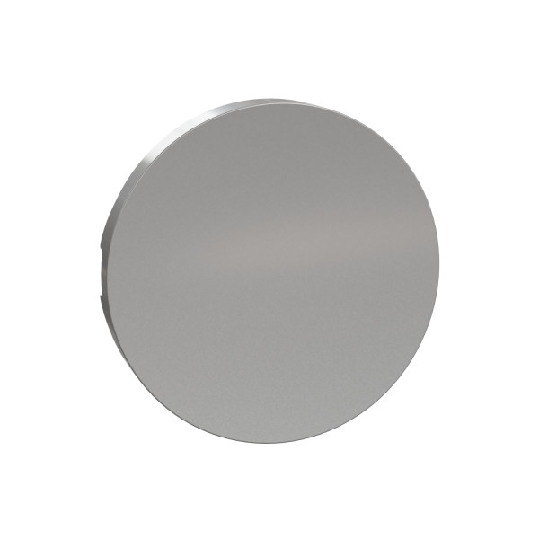 Enjoliveur Seul Aluminium pour Va-et-Vient et Poussoir Odace Schneider