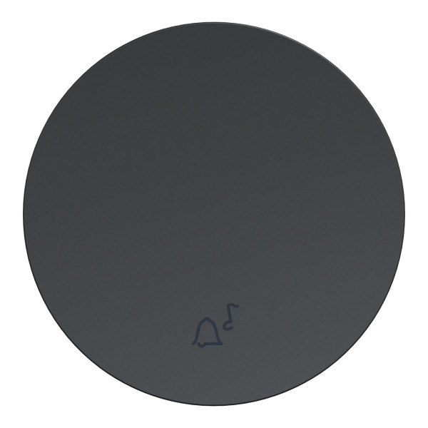 Enjoliveur Seul Anthracite pour Va-et-Vient et Poussoir Odace Schneider
