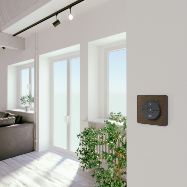 Plaque bronze brossé liseré anthracite Schneider Odace Touch 1 poste