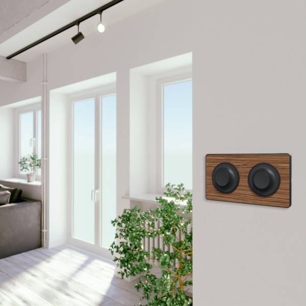 Schneider Odace Touch Plaque Bois Zeb. Avec Liseré Anth. 2 Postes Horiz/vert Entraxe 71mm