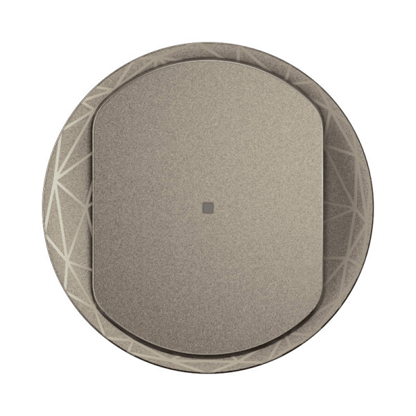 Enjoliveur interrupteur avec neutre céliane with netatmo - titanium