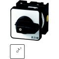 Commut. Marche, cont.: 1,retour en position 1, 20a, i<1, 45°, à rappel, encastré (T0-1-15321/E)