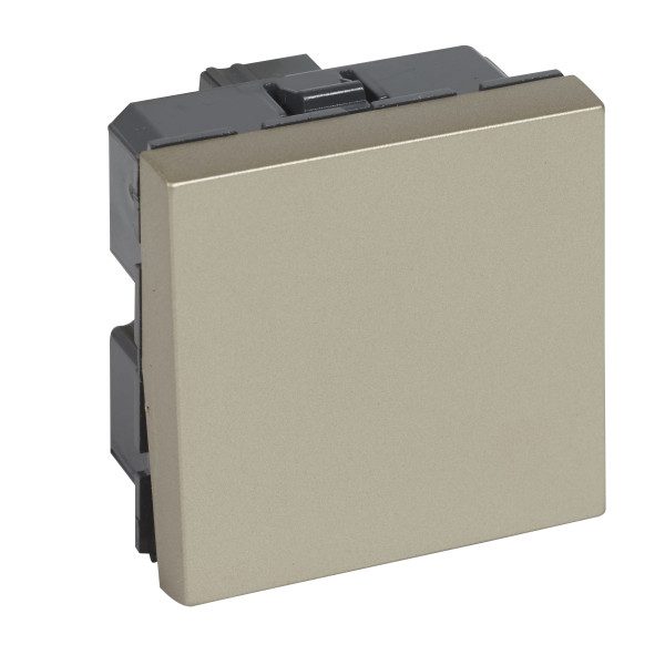 Interrupteur 10ax 2 modules arteor carre champagne 