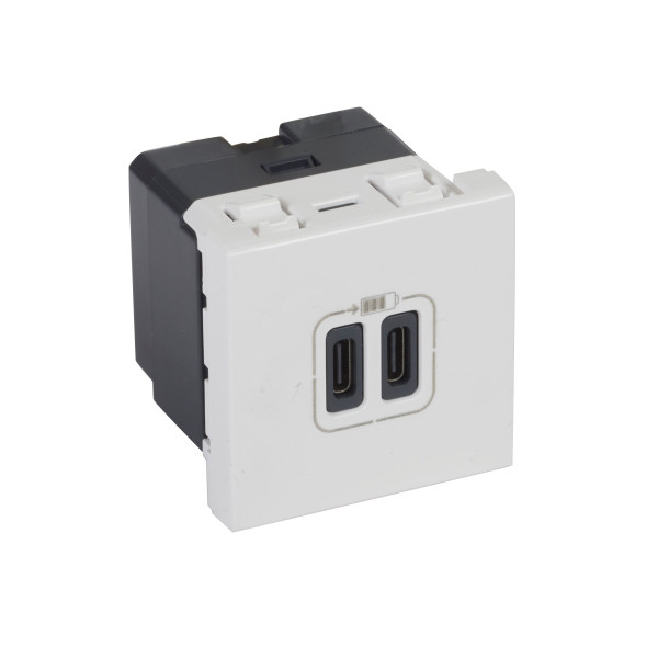 Arteor chargeur 2 modules 2 usb c+c 3a 15 w blanc