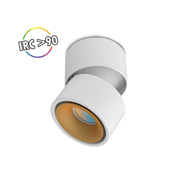 Cosmos applique decorative blanc/dore 12w 3cct irc90 23° 3ans