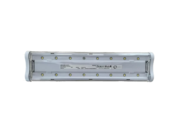Luna 1000+ ip st+