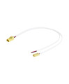 Ledvance kit cÂblage traversant 1,20m dali