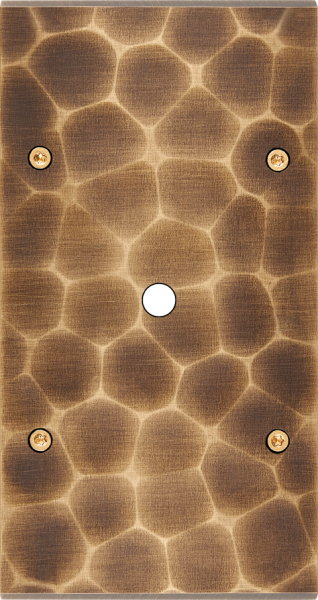 Façade fascination laiton onde double verticale 1 bouton poussoir push à vis