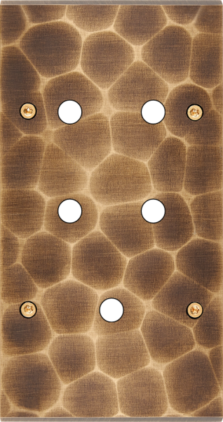 Façade fascination laiton onde double verticale 5 boutons poussoir push à vis