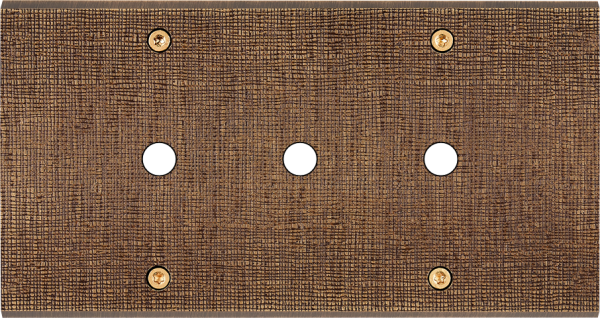 Façade fascination laiton coslan double horizontale 3 boutons poussoir push à vis - Modelec - 183430