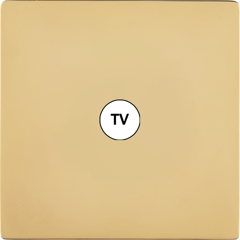 Façade "m" laiton miroir simple 1 prise tv sans vis