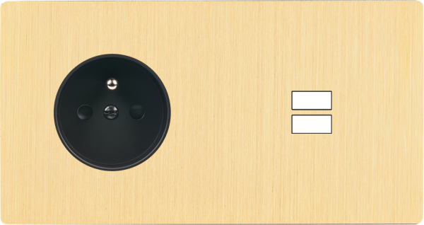 Façade "m" laiton brossé double horizontale 1 prise 1 chargeur usb sans vis