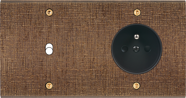 Façade fascination laiton coslan double horizontale 1 basculeur prise de courant 2p+t à vis - Modelec - 261430